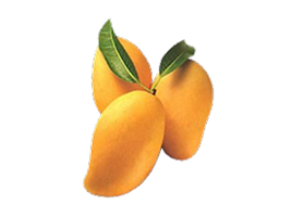 Alphonso