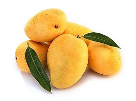 Banganpalli (Safeda)