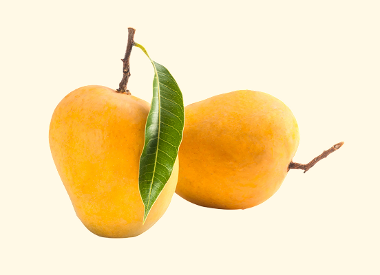 alphonso-hapus
