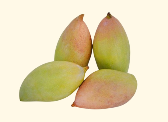 totapuri mango